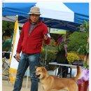 화수초등학교 이미지