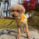 아라약국 | 검단 신도시 신혼부부 내집마련/1년 후기 *아라역* 서울이랑 가까운 인천