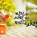 장선 이미지