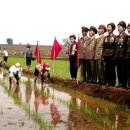 협동농장 이미지