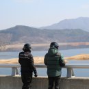 금산개구리