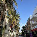 더 플라야 이미지