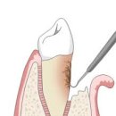 동물병원닥터스 이미지