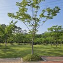 평림댐 화장실 이미지