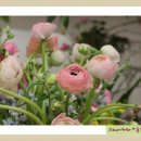 꽃장식 플로리스트 이미지