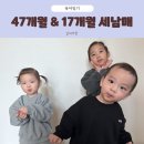 까까멍멍 | 47개월 첫째와 17개월 남매둥이 세남매 근황, 다시 시작하는 블로그