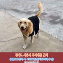 수컷 이미지