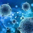 바이러스 이미지