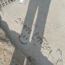 성하연립(나동뒤) | 밀양 독채펜션 ‘스테이 한가로이’ (가,나 동) 후기✨(애견 독채펜션)