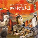 캐니언파크 티스토리