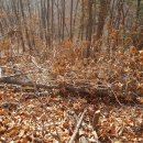 원정농장 이미지