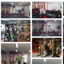 주식회사 인스타짐 이미지