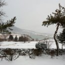 장흥 달바위펜션 이미지