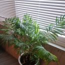 설악비치공인중개사사무소 이미지