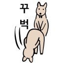 치자밀면 이미지