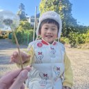 아이틴즈치과의원 | 제주 영유아검진치과 추천 연북로 아이틴즈치과