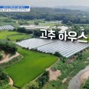 지아농장 이미지