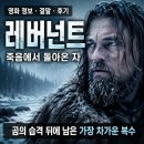 영화 레버넌트 죽음에서 돌아온 자 결말 후기, 곰의 습격 뒤에 남은 가장 차가운 복수