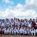 용인대 석사 양현 태권도 이미지