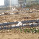 LED플라워 화분 제작 이미지