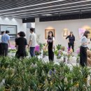 경산시청 이미지