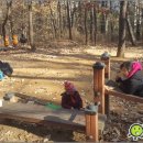 창의의 숲 이미지