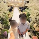 우주로얄아파트 | 상반기 견적 신랑신부편!! 플래너 없이 진행한 에어포스 공군호텔 웨딩 리얼 후기 (1층 vs 3층 비교)