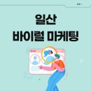 에이앤피솔루션 이미지