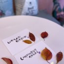 감성연구소 수다수다