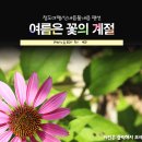 물내음 팬션 이미지