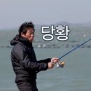 햇내로 이미지