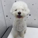 하이뭉치 유치원 이미지