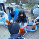 허브에스 이미지