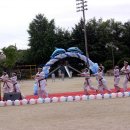 대하체육관 이미지