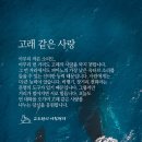 대한철강 이미지