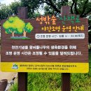 성주 맥문동 꽃 이미지