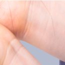 박가정의학과의원 이미지