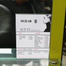 머리애봄 네이버블로그