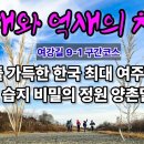 갈대와 억새의 차이/비밀의정원/여주저류지/한국최대의 갈대습지/여강길 9-1코스 이미지