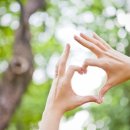 체리펜션 이미지