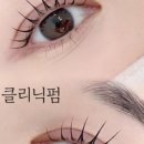 래쉬올린