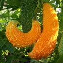 여의주농장 이미지