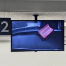 롯데 제주공항면세점 | [시즈오카] 시즈오카 공항 면세점, 식당, 카페 제주항공 후기