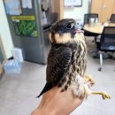 국립공원공단 국립공원연구원 북부보전센터 이미지