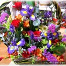 효성과일 이미지