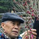 새마을농원