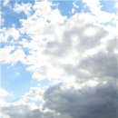 푸른하늘 이미지