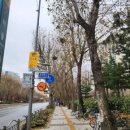 주공7단지앞 이미지