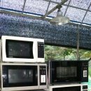 순천-32호 이미지