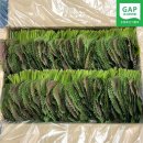 자매농장 이미지